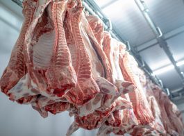 closeup-meat-processing-food-industry-worker-cuts-raw-pig-storage-refrigerator