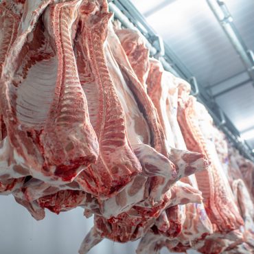 closeup-meat-processing-food-industry-worker-cuts-raw-pig-storage-refrigerator