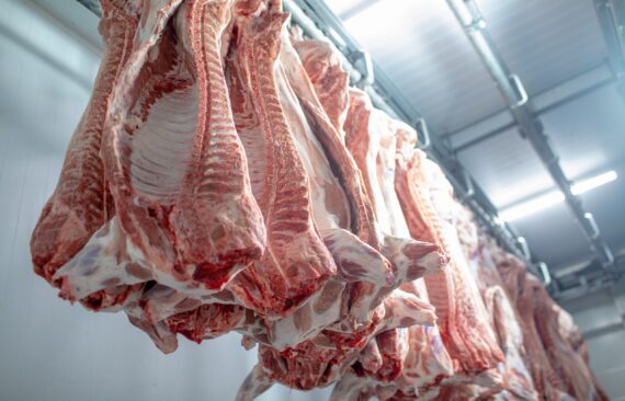 closeup-meat-processing-food-industry-worker-cuts-raw-pig-storage-refrigerator